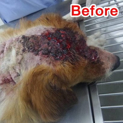 “ผิวหนังอักเสบรุนแรง ยังมีอะไรซ่อนอยู่ข้างใน ให้คุณหมอไขกระจ่าง